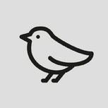 sparrow111