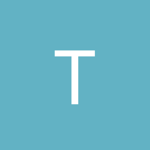 Timmi